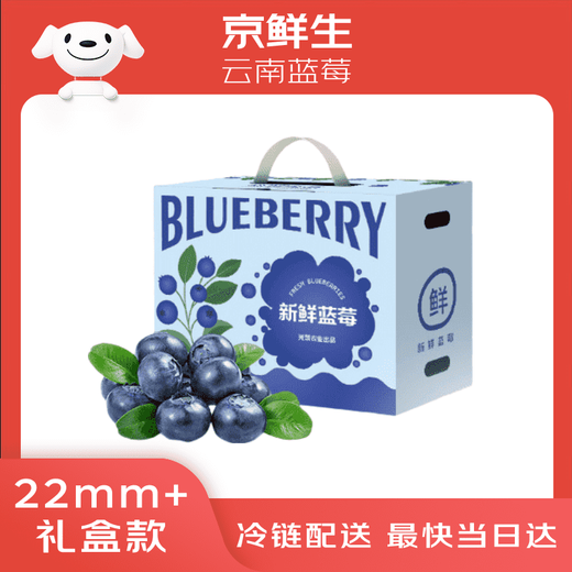 Jingxiansheng Yunnan Blueberry 22mm+ Extra Large Fruit 6 Boxes Net Weight 125g/box Fresh Fruit
