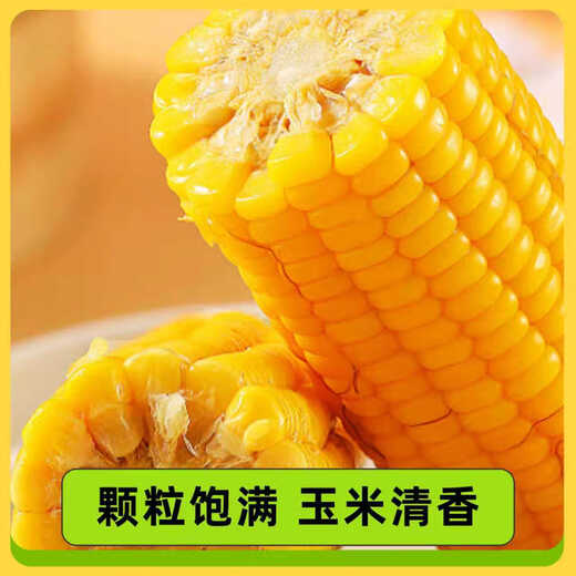 Maíz ceroso dulce fresco del noreste, 180 g-220 g, maíz ceroso amarillo, envasado al vacío, reemplazo de comida dulce cerosa suave, 180 g-220 g, maíz ceroso amarillo, paquete de 4