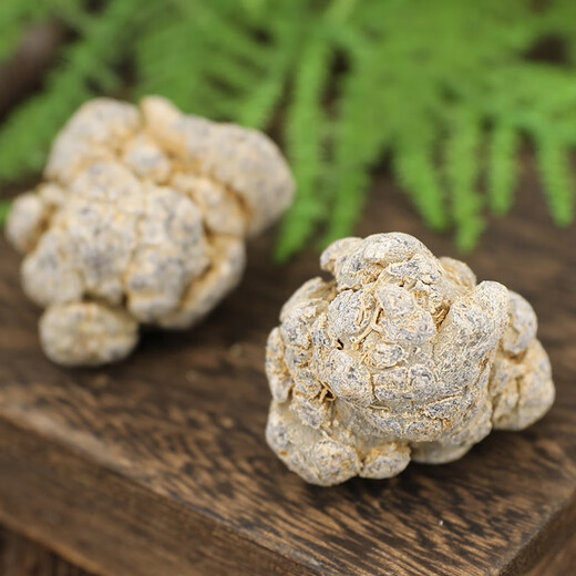 Moyuan Panax notoginseng matière médicinale chinoise Yunnan Wenshan véritable racine de Panax notoginseng 20 têtes Panax notoginseng nuage brut frais Panax notoginseng poudre de vin trempé non sauvage 60 têtes Panax notoginseng 50g