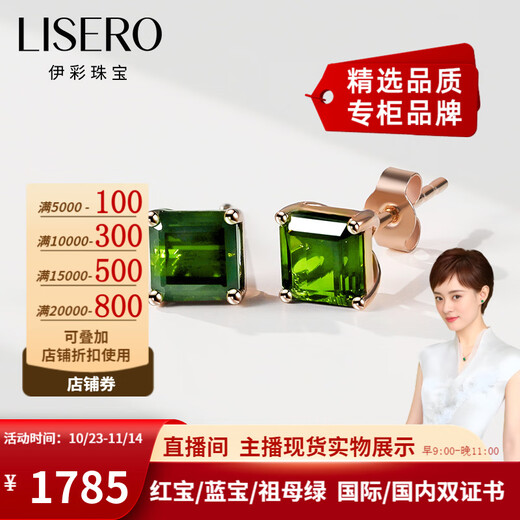 Yicai Jewelry Natural Green Tourmaline Earrings 18k Gold South African Diamond Inlaid Earrings Gemstone Earrings Pair of Green Tourmaline Earrings/2.5 Carats (Free Pair of K Gold Silicone Earplugs)