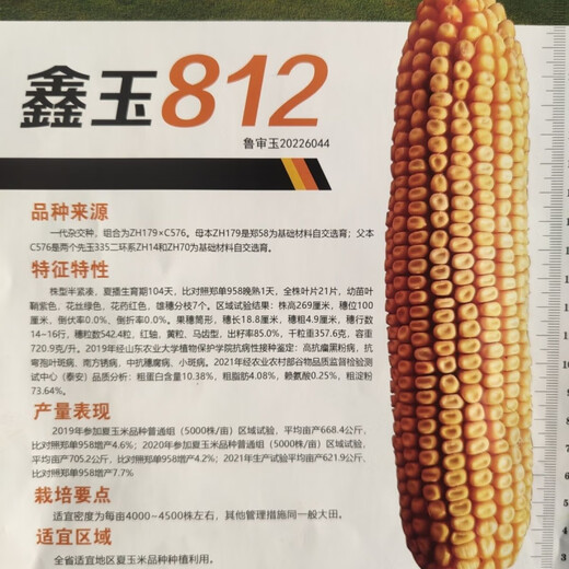 Big cob corn seed Xinyu 812 is disease-resistant, insect-resistant, high-temperature-resistant and high-yield, the first gold grain original Big cob corn seed Xinyu 812 is disease-resistant, insect-resistant, high-temperature and high-yield, No. 1 gold