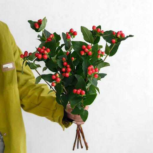 Honghonghuohuo fire dragon ball red 5 sticks