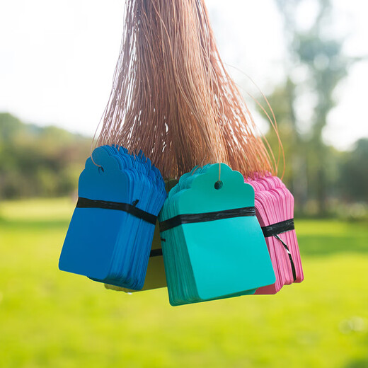 100 Stück Hängeetiketten, Pflanzenschilder, Baumschilder, klassifizierte Farbkarten, Kunststoff, wasserfest, lichtecht, lichtecht P 2,5*3,6 cm blau, 100 Stück