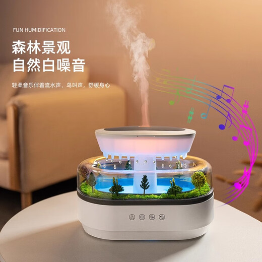 South Sandwich Aromatherapy Machine Automatic Fragrance Machine White Noise Humidifier Desktop Micro Landscape Home Bedroom Silent Colorful Ambience Light Large Fog White Noise Aromatherapy Humidifier Simulated Raindrops + Micro Landscape + Birthday Packaging, Gift Bag