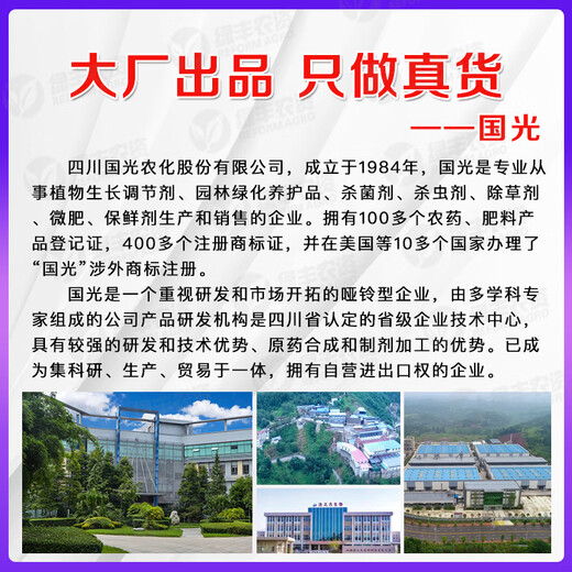 Guoguang 15% paclobutrazol powder, plant shortness agent, rice seedling field control, leggy growth and tillering growth regulator 18g