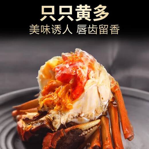 Live Crab Fisherman Master Hairy Crab Whole Female 2.5-2.8 Liang 8 Pieces Full-weight Fresh Crabs in Stock Fresh Aquatic Seafood Gift Box