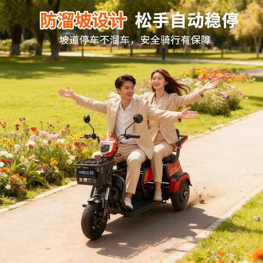 Flying Pigeon Tricycle Electric Car Home Small Elderly Leisure Battery Car Can Bring Carport for Transportation Electric Tricycle 600w+48v20A Lead-acid+60 Miles Battery Life