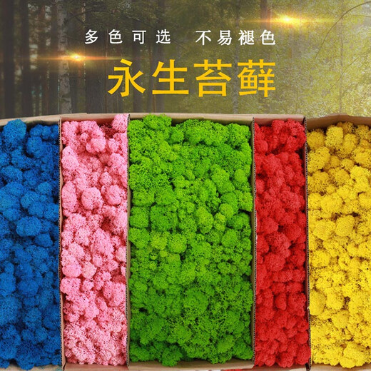 Plant boxed flower material package diy dry dried flowers real flower plant wall simulation fluffy background wall big gray moss-green grass