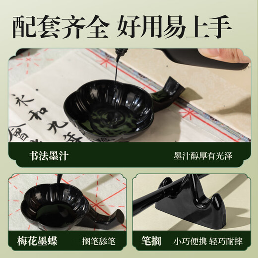 Deli Panda Student Study Calligraphy Set Study Four Treasures Writing Brush Inkstone Rice Paper Beginner's Beginner's Introductory Copying Calligraphy Storage Box 16-piece Set New Year's Day Christmas Gift