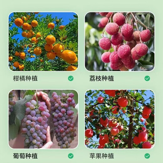 Orchard clearing agent, fruit tree clearing 361, special clearing shed to resist stress and restore tree vigor without harming flowers and fruits. Qingyuan No. 1 No. 1. Orchard Qingyuan No. 1 500g*2 bottles.