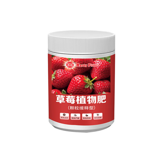 Strawberry special fertilizer slow-release fertilizer organic fertilizer balcony potted strawberry fertilizer to sweeten, improve quality, increase production and promote growth Special strawberry fertilizer 1Jin Jin equals 0.5 kg *1 can