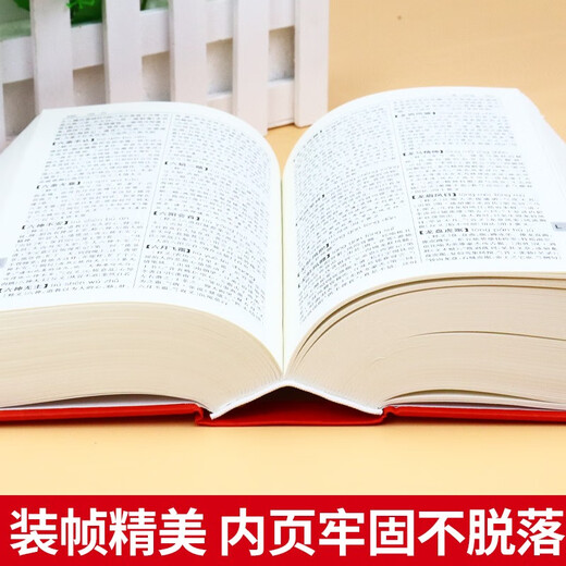 现代汉语词典+成语大词典（全2册）中小学生专用成语词典人教版新课标现代汉语成语词典