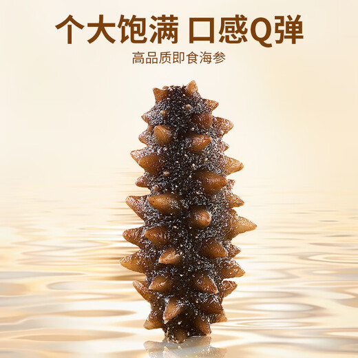 Ready-to-eat sea cucumbers Ready-to-eat Dalian sea cucumbers single pack Liao sea cucumbers and dried sea cucumbers aquatic products gift box net content 500g Dalian ready-to-eat sea cucumbers 20-30 heads/Jin Jin is equal to 0.5 kg One Jin Jin is equal to 0.5 kg Early adopter pack