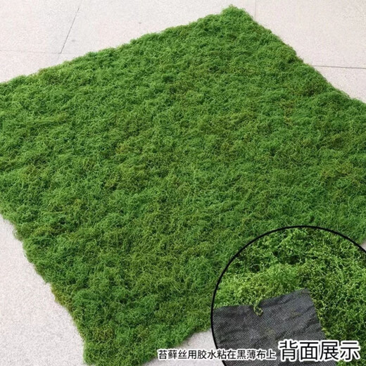 秦火人造假青苔草坪软装橱窗盆景地面铺面造景绿植墙装饰仿真苔藓草皮 浅绿色丝状苔藓0.5米×1米
