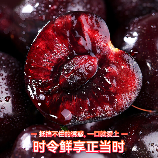 Uncle Sam Gold Award Cherry Gift Box JD Express - Next Day Delivery to Many Places New Year's Day Gift Fruit 2Jin Jin equals 0.5kg (net weight) (Cost-priced) Early adopter gift box Black Diamond Big Mac 3J 30-32mm Recommended*