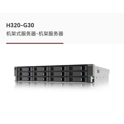 Suma Zhongke controllable H320-G30 single-channel Haiguang 7000 series 32-core processor 2U rack server hard drive cable