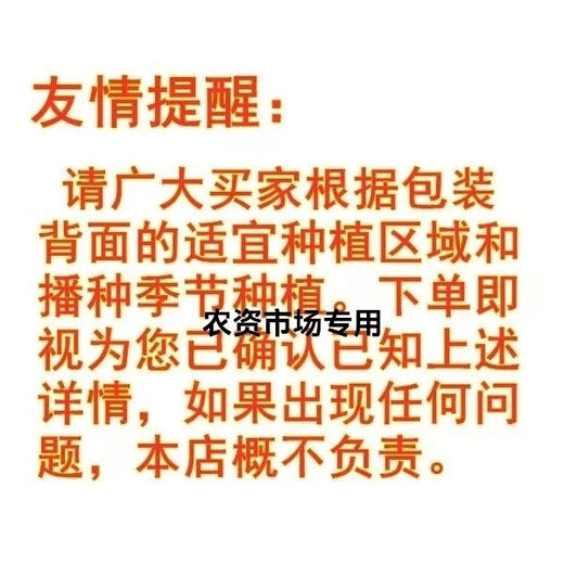 Ziyu 117 lodging-resistant short-stem hybrid high-yielding corn seeds for field sowing in spring and summer with white shafts one pack original