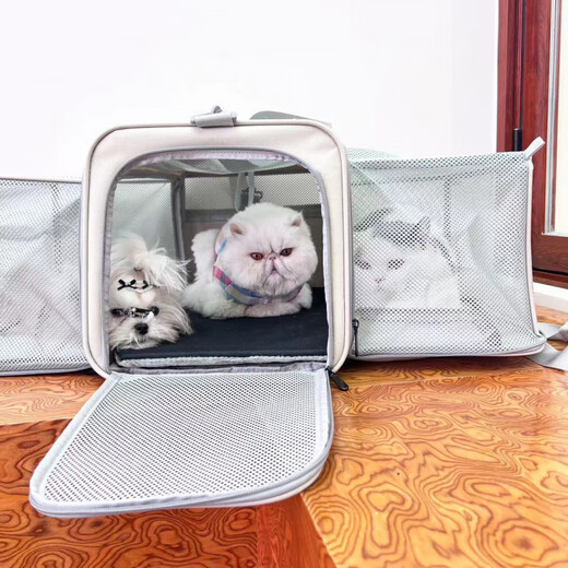 baiwo大号双猫便携包加厚扩容猫咪手提笼 大号双向拓展米白色 L-大型