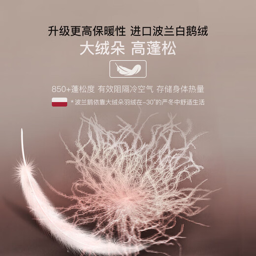 鸭鸭（YAYA）【鹅绒天丝】新品保暖内衣男羊绒德绒发热加绒加厚秋衣秋裤套装秋