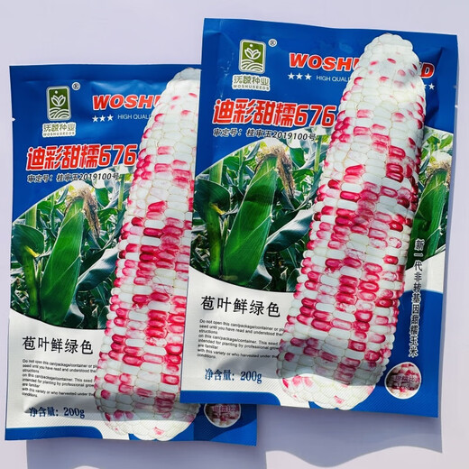 National Approval Xiaofu Tiangui Nuo 937 Big Stick High Yield Disease Resistance Spring and Autumn Field Base Colorful Sweet Nuo Jade 2018 BMW Tiangui Nuo 937 Original 200g