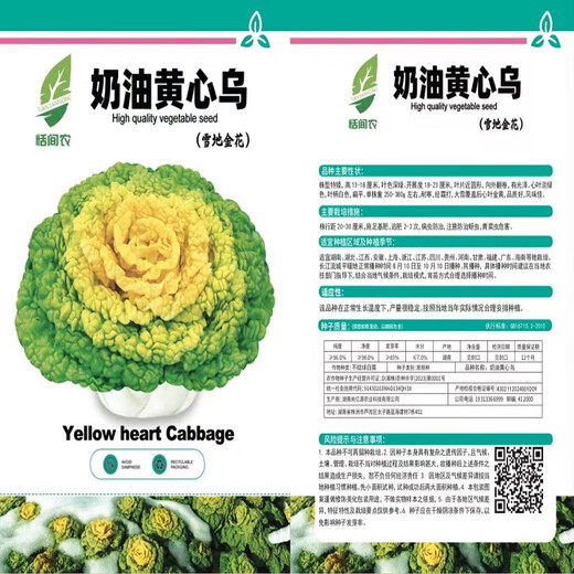 Yellow cabbage seeds are cold- and wet-resistant, chrysanthemum heart cream, yellow cabbage vegetable seeds for garden planting, yellow cabbage seeds, buy two packs, get one free, about 3,000 grains