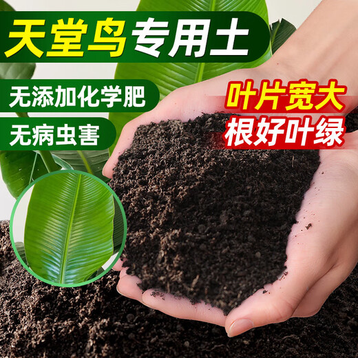 天堂鸟专用土营养土养花专用通用土壤绿植泥土种植土盆栽专用肥料 天堂鸟专用土20斤