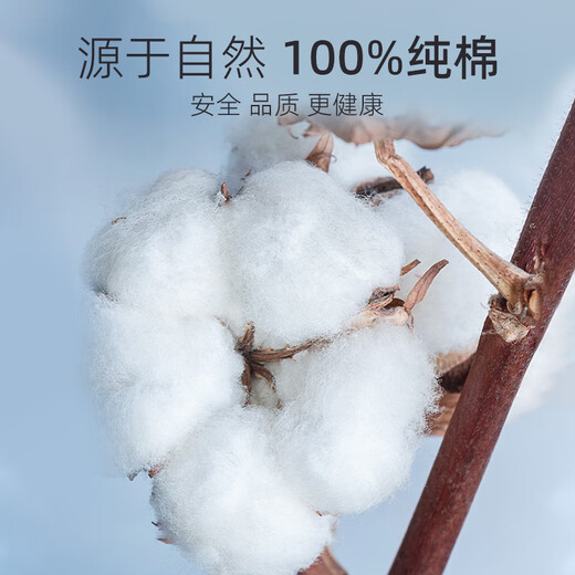 红豆（Hodo）【央妈推荐】妈妈保暖内衣女纯棉秋衣秋裤套装大码中老年奶奶衬衣 咖啡康乃馨 2XL