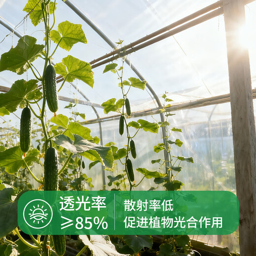 Yueshun plastic cloth thickened anti-aging drip-free film 5 meters wide 10 silk * 5 meters plastic film greenhouse film waterproof cloth insulation film