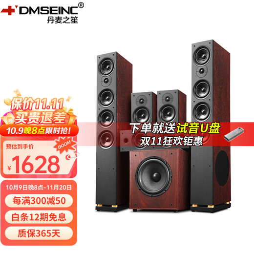丹麦之笙（DMSEINC） JY-550家庭影院音响 5.1声道无源落地式客厅音响 家用环绕音响 家庭ktv组合低音炮带功放 套餐一：5.1声道【无功放】