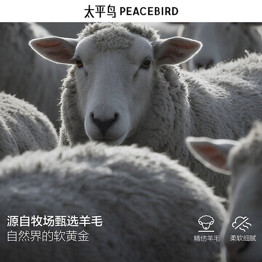 PEACEBIRD Men's Coat Winter Double-sided Wool Coat B1AAE4210 Black 1 2XL