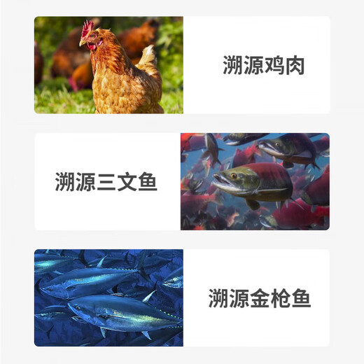 Xibao Cat Food Adult Cats and Kittens Universal Blue Cat Ragdoll British Shorthair American Short Orange Cat Garfield Nutritional Full Price Food 3Jin Jin equals 0.5kg Imported chicken + salmon + tuna All stages 3Jin Jin equals 0.5kg Packed 1.5kg