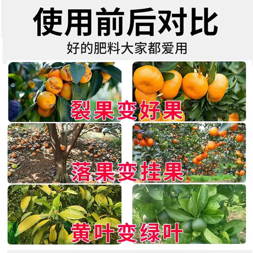 黄龙病果树专用药治柑橘脐橙黄龙病黄化病黄叶卷叶专用药营养液 3袋【买二送一】果树专用