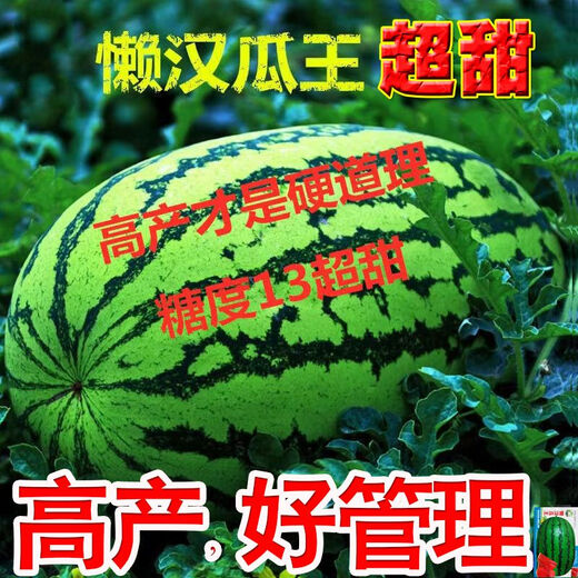 Watermelon Set, Watermelon Seeds, Watermelon Balcony Potted Plants, Farmhouse Garden Melon Seeds, Lazy Man King Watermelon Seeds, 1 pack, about 50 pieces