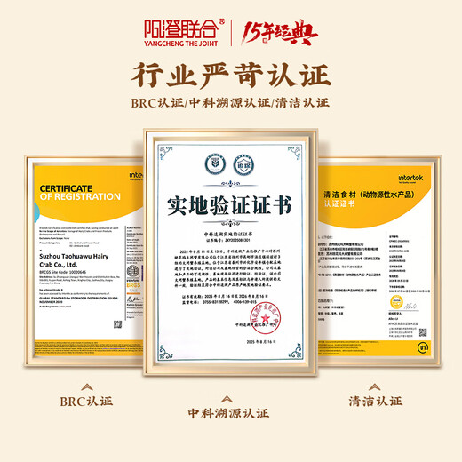 Live Crab Yangcheng United Fresh Hairy Crabs in Stock Male 4.0-4.3 Liang Female 3.0-3.3 Liang 4 Pairs of 8 Crabs Seafood Gift Box