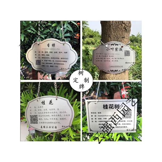 Stainless steel tree sign spring tension spring rope hanging chain stainless steel material retractable without damaging the tree sign sign customization stainless steel 0.6*20CM spring including one screw 0x0cm