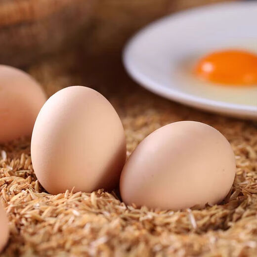 Authentic farmhouse free-range fresh-picked newborn eggs, cereal eggs 40g, breakfast, whole box, 30 pieces Authentic farmhouse free-range fresh-picked newborn eggs, cereal eggs 40g, breakfast, whole box, 30 pieces