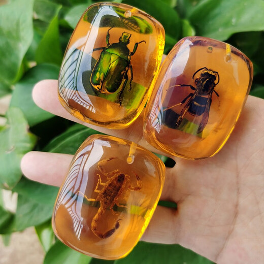 Fat Donglai's same amber insect specimens for elementary school textbooks popular insect amber resin ornaments butterfly crab creative hanging scorpion + hanging rope