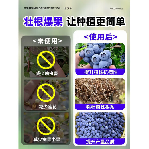 LDVEP special fertilizer for blueberries, organic nutrient solution for plant pots, general aqueous liquid fertilizer for rooting, strengthening seedlings and curing yellow leaves, upgraded version, special nutrient solution for blueberries 500ml*3