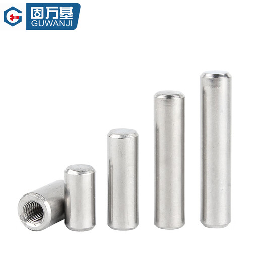 GUWANJI 304 stainless steel single-head internally threaded cylindrical pin with hole positioning pin internal tooth pin M4-M20 8x20xM5 10 pieces