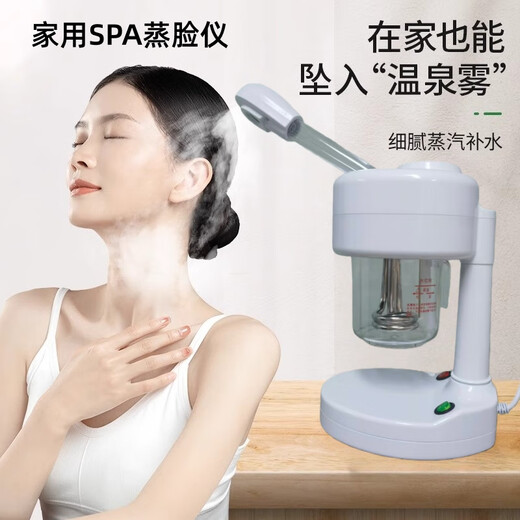 OCDREDY Desktop Thermal Spray Facial Steamer Beauty Instrument Sprayer Humidifier Facial Hydration Device Home White Thermal Spray Facial Steamer