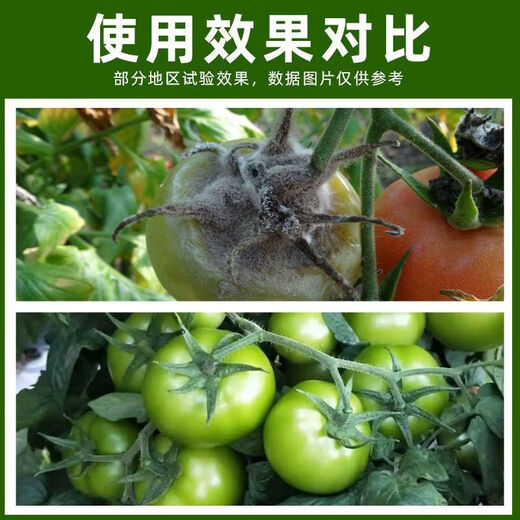 50% procymidone fungicide, gray mold fungicide for fruits and vegetables, tomato gray mold fungicide, genuine pesticide 100g/5 packs