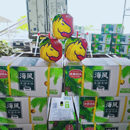 Thailand Easy to Open Coconut Green Big Fruit Healthy Natural Drink for Pregnant Women and Children Fresh Fruit-Fruit Terminal Easy to Open Coconut 9 pieces original box family pack (recommended)