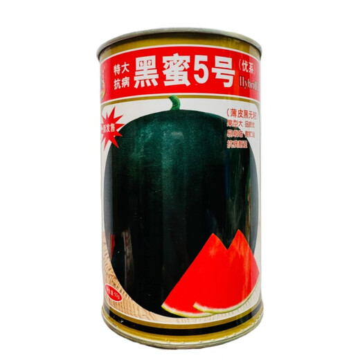 Chunzhiyun Heiba No. 1 black skin red flesh seedless watermelon seedless seeds super sweet thin skin high yield watermelon base for field use Black Honey No. 5 black skin red flesh seedless watermelon 700 capsules