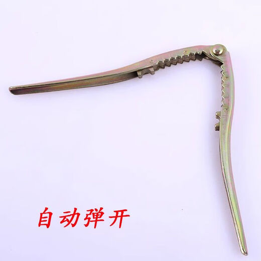 Sanqihu Hazelnut and Pine Nut Shell Opener, Peanut and Pine Nut Lin'an Pecan Clip Artifact, Small Nut Pliers, Dried Fruit Opener, 30 Thickened High Quality