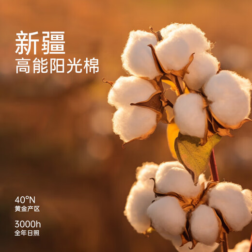 Jie Liya pure cotton bed four-piece set 100% cotton bed sheet quilt cover 200*230cm dormitory three-piece Xinjiang cotton quilt cover Chenwumanzhi quality Xinjiang cotton 1.8m four-piece set bed sheet style (quilt cover 200*230cm)