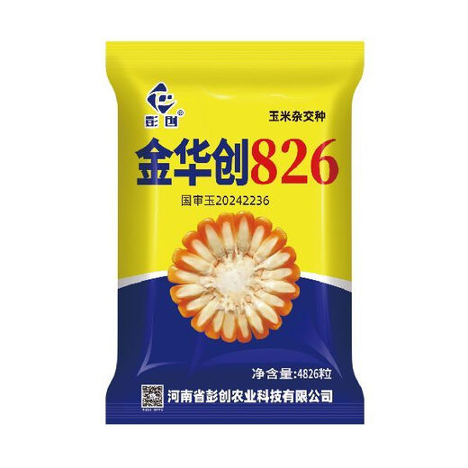 Jinhuachuang 826 new corn seed that is resistant to density, resistant to disease, lodging, rust and stable yield, 4826 grains/bag, 10 bags