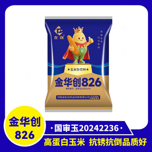 Jinhuachuang 826 new corn seed that is resistant to density, resistant to disease, lodging, rust and stable yield, 4826 grains/bag, 10 bags