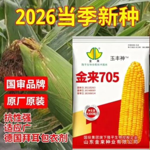 Jinlai 705 National Approval Red Shaft Big Stick Stable Yield Stable Yield Resistance to Diseases Resistant to Blight and Lodging Stable Yield Corn Seeds National Approval Jinlai 705 1 Mu Increased Production Package Affordable