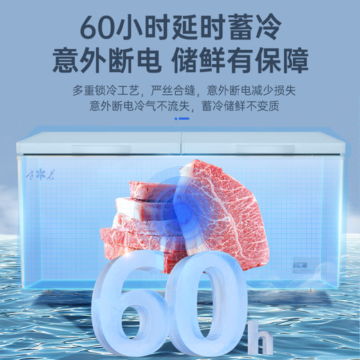 雪花冰柜商用家用冷柜卧式大容量全冷冻柜展示柜一级节能省电 668双温丨一级节能丨减霜80%