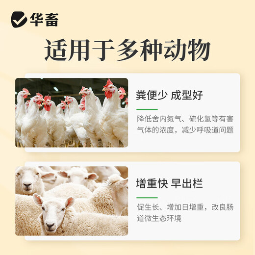 Huazhu Veterinary Fattening and Weight Gaining King Promoting Growth Fatty Master Feed Additive for Chickens, Ducks, Goose, Cattle and Sheep Premix Poultry and Pigs 1 Bag Buy 5 Song 1 Fattening and Weight Gaining King 2Jin Jin is equal to 0.5kg